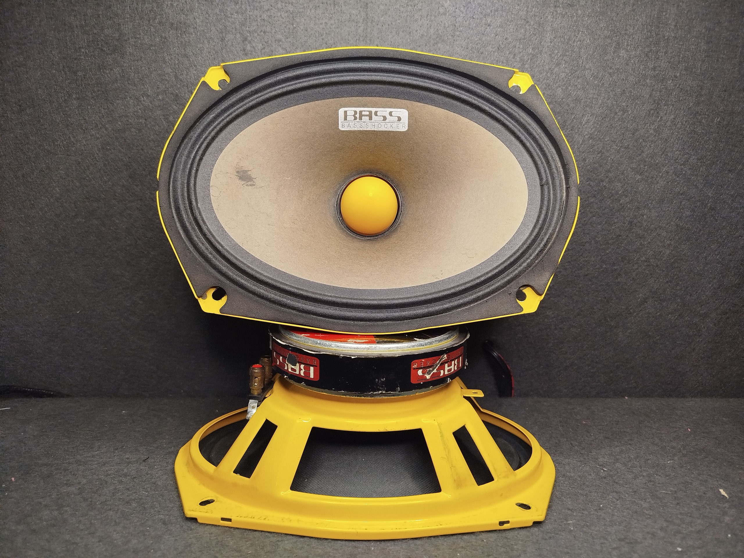 بهترین برندهای میدرنج کدام‌اند؟